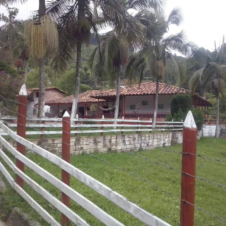 Corregimiento de Altavista Ruta Noticias