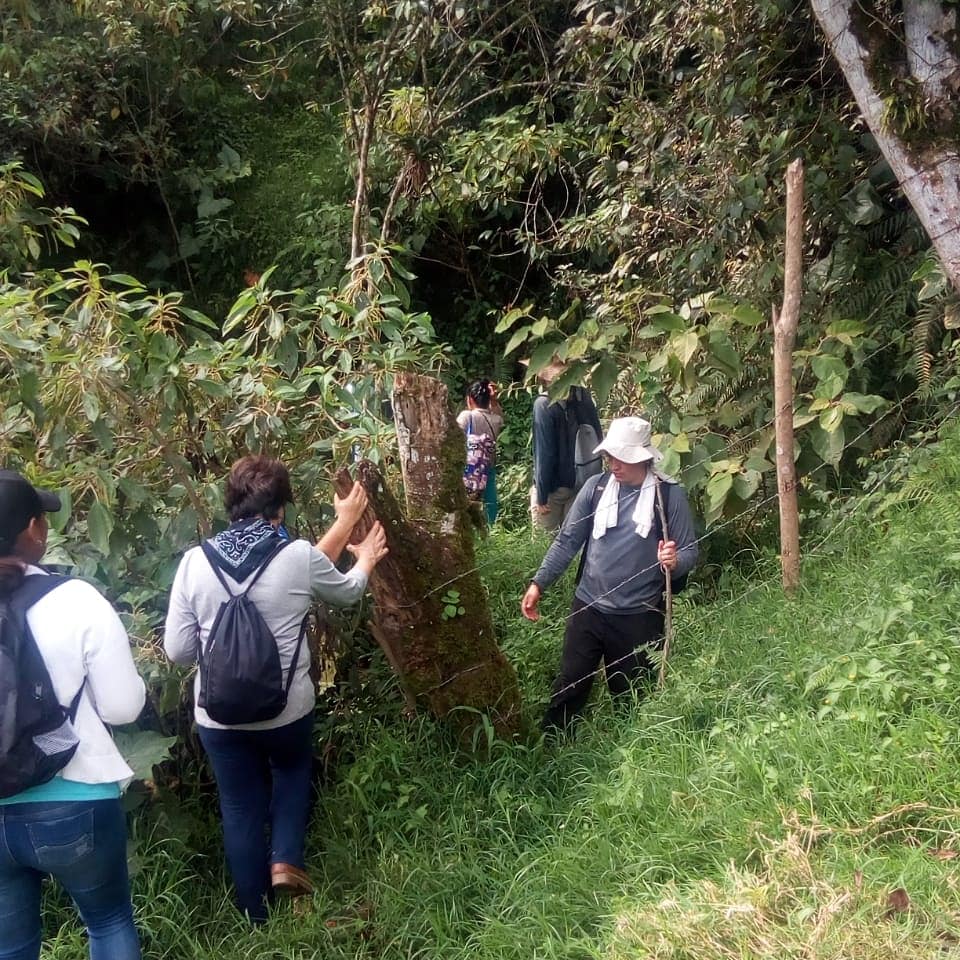 Corregimiento de Altavista Ruta Noticias
