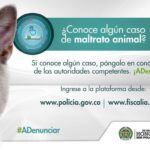 Línea de la Fiscalía para denunciar el maltrato animal Ruta Noticias