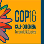La COP 16 en Cali Ruta Noticias