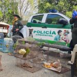 fauna silvestre en el Valle de Aburrá Ruta Noticias