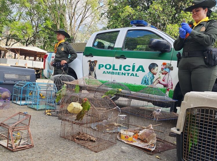 fauna silvestre en el Valle de Aburrá Ruta Noticias