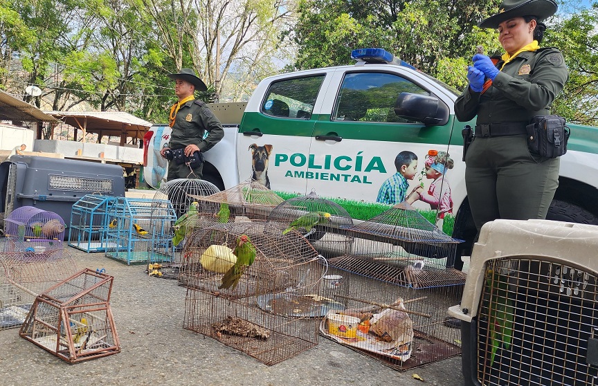 fauna silvestre en el Valle de Aburrá Ruta Noticias