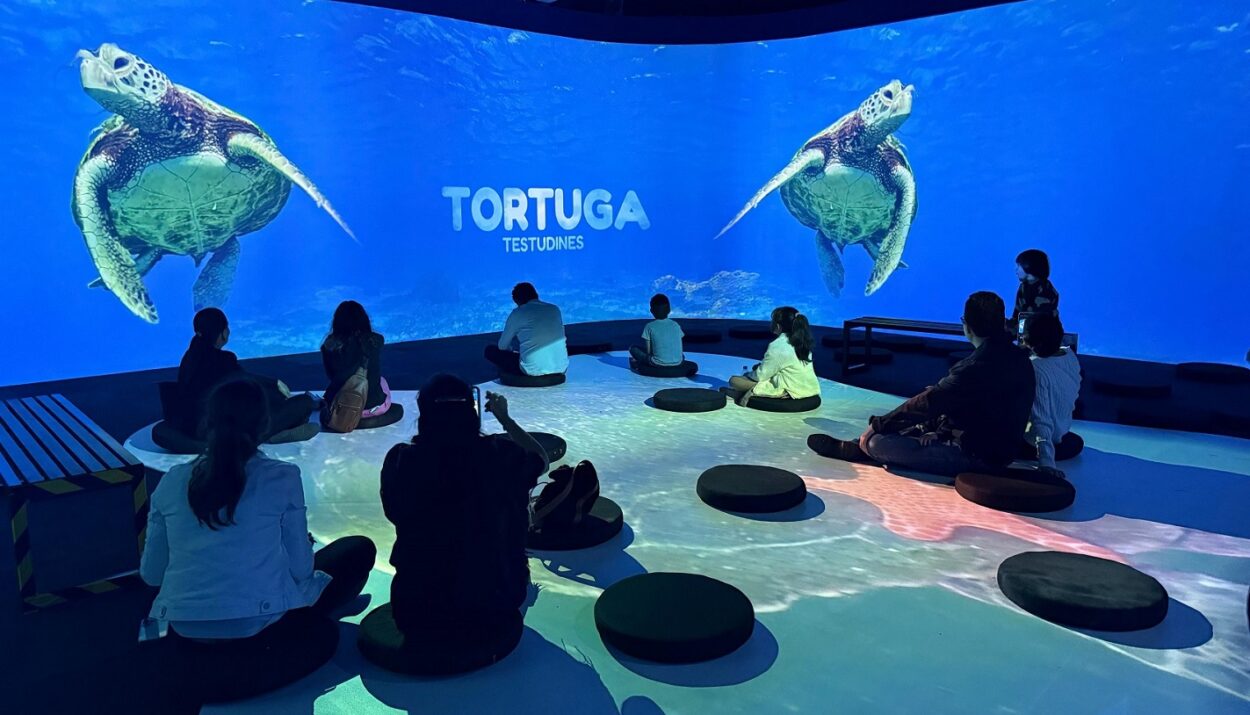 Oceánica El Tesoro