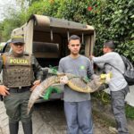 especies en vías de extinción en Colombia Ruta noticias