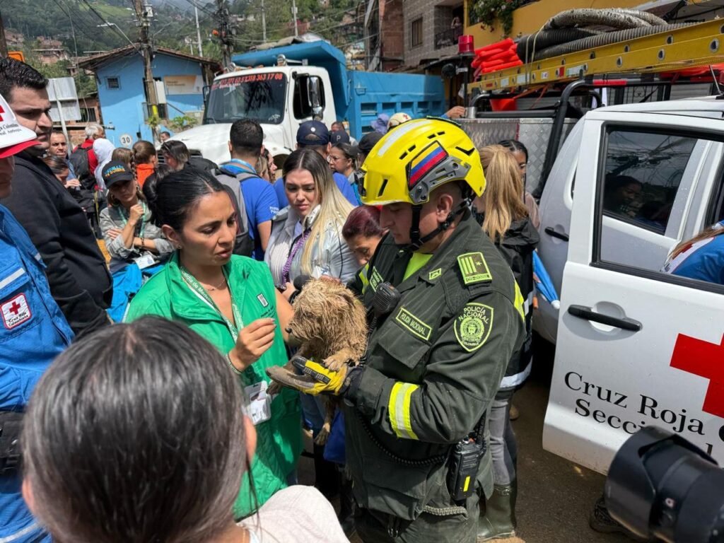 Inundaciones en el corregimiento de Altavista Ruta Noticias