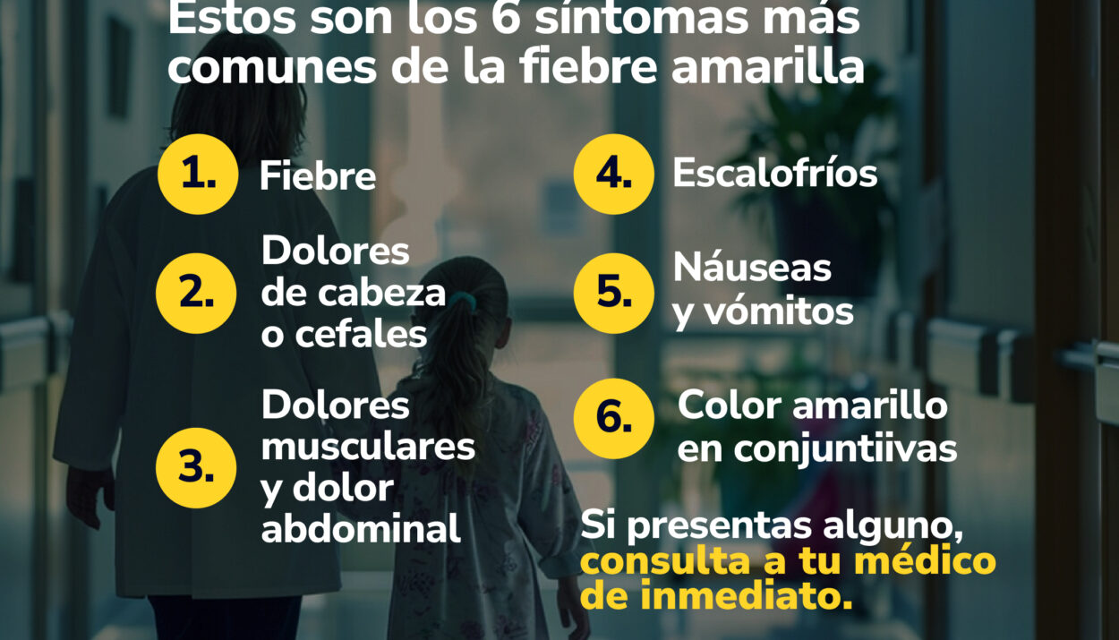 puestos de vacunación contra la fiebre amarilla Ruta Noticias