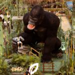 Congo, La Ruta del Gigante Ruta Noticias
