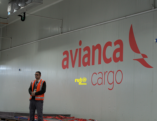 Avianca cargo Rionegro Ruta Noticias