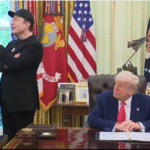 Donald Trump y Elon Musk Ruta Noticias