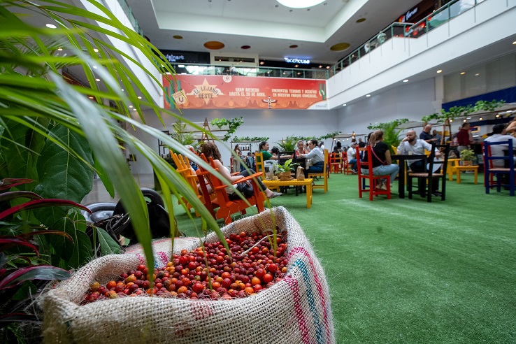 Regresa Vino & Tinto, el Festival de sabores de El Tesoro Ruta Noticias