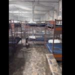 nueva cárcel de Alligator Alcatraz Ruta Noticias