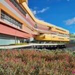 Plaza Central Centro Comercial Ruta Noticias