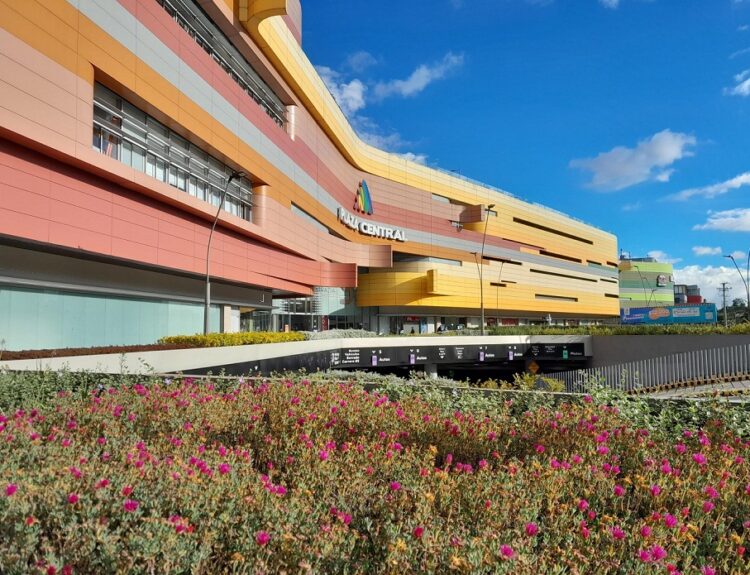 Plaza Central Centro Comercial Ruta Noticias