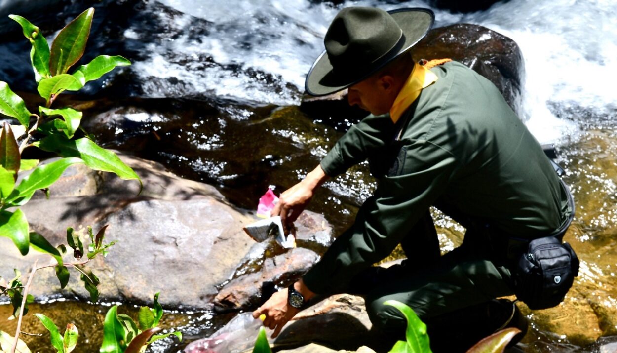 protección del recurso hídrico y el capital ambiental de Colombia Ruta Noticias