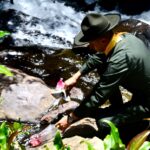 protección del recurso hídrico y el capital ambiental de Colombia Ruta Noticias