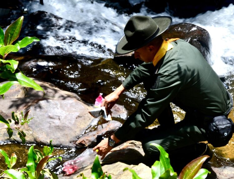 protección del recurso hídrico y el capital ambiental de Colombia Ruta Noticias