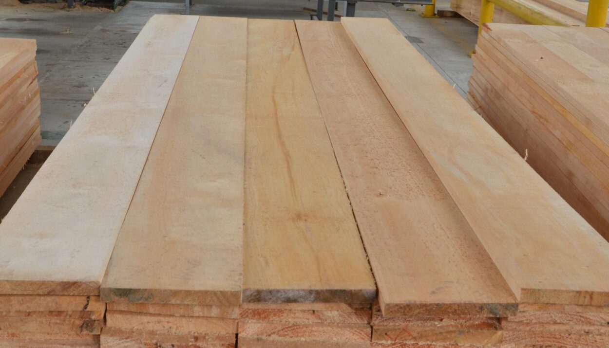 red forestal y de la madera colombiana Ruta noticias