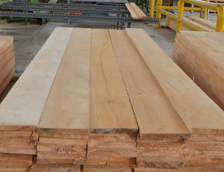 red forestal y de la madera colombiana Ruta noticias