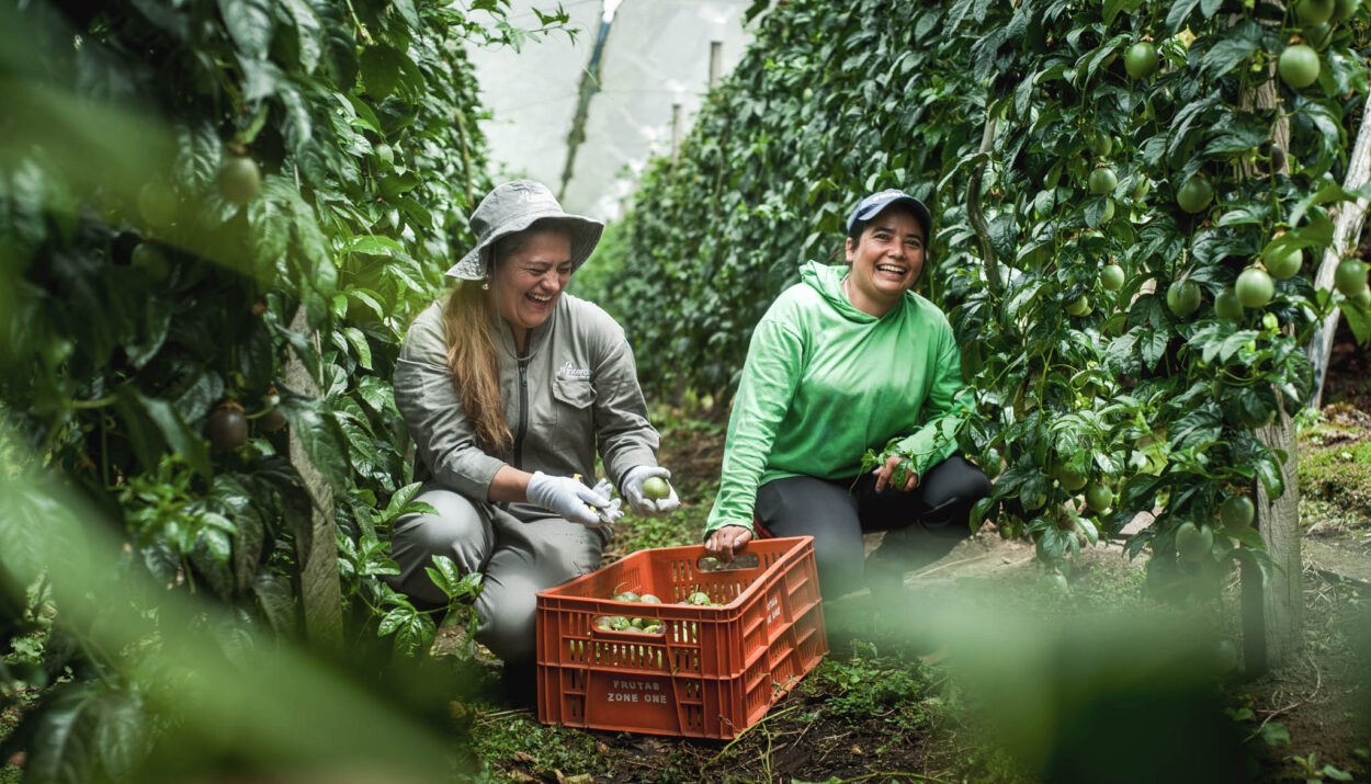 El Día de la Agricultura Ruta Noticias