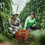 El Día de la Agricultura Ruta Noticias