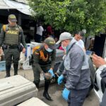 Operativo de control al maltrato animal y tráfico ilegal de fauna Ruta Noticias