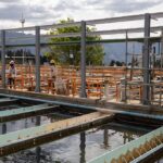 Planta Maniantiales hogares sin agua Ruta Noticias