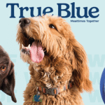 True Blue Ruta Noticias