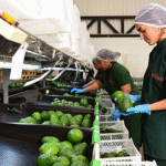 Frutand Colombia IFEMA Ruta noticias