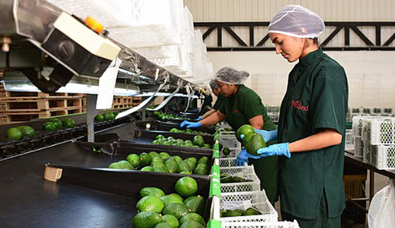 Frutand Colombia IFEMA Ruta noticias