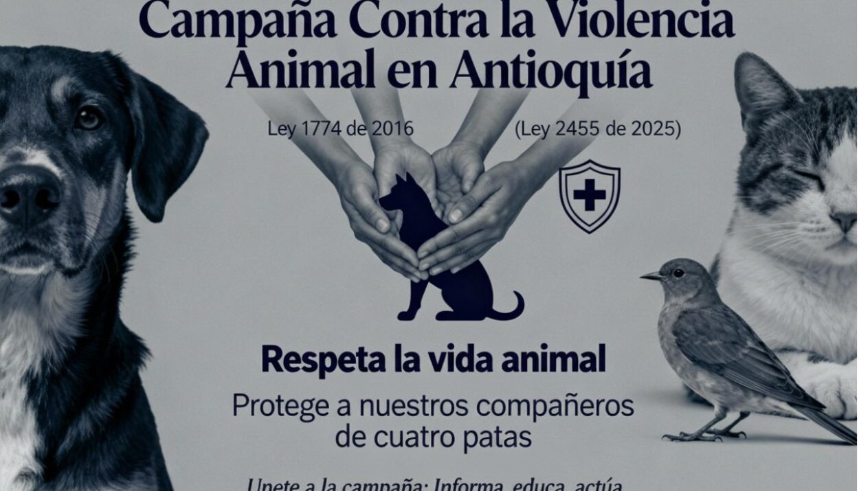 Campaña contra el maltrato animal Ruta Noticias