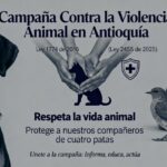 Campaña contra el maltrato animal Ruta Noticias