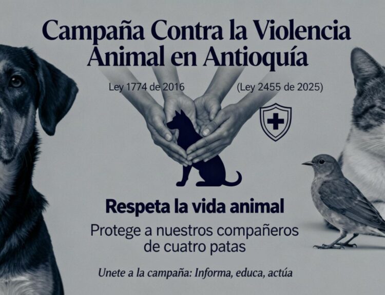 Campaña contra el maltrato animal Ruta Noticias