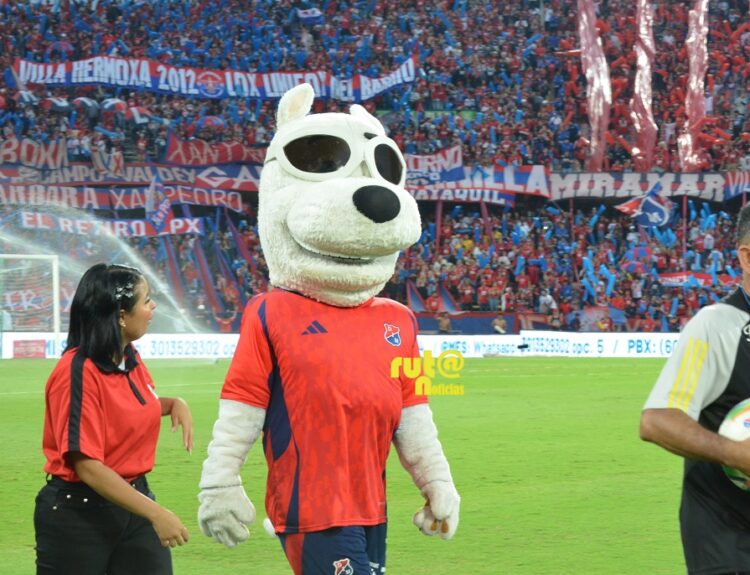 El Medellín empató 0 a 0 con Nacional Ruta Noticias