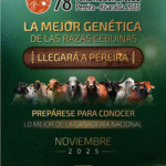 78 Feria Nacional Cebú Ruta Noticias