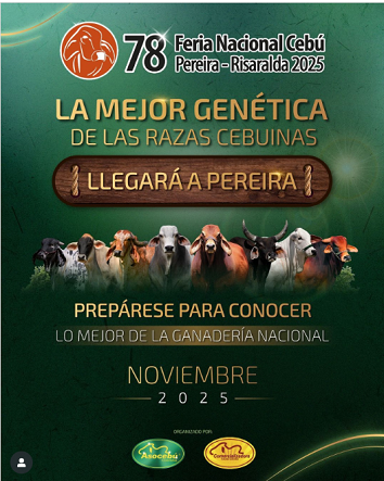 78 Feria Nacional Cebú Ruta Noticias