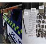 GDCO “Los del Filo” en el Suroeste antioqueño Ruta Noticias