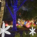 Bello renace y enciende la alegría en navidad Ruta Noticias