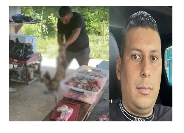 Fernando Alonso Oviedo, agresor de un perro Ruta Noticias