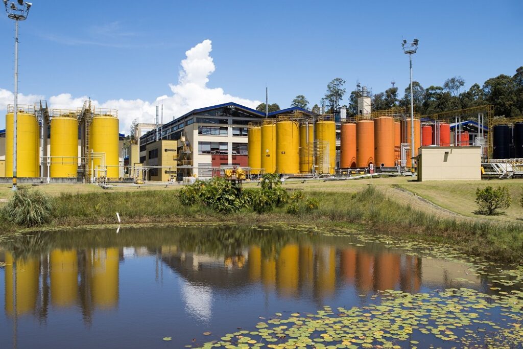 Pintuco celebra Ruta Noticias