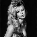 Brigitte Bardot Ruta Noticias