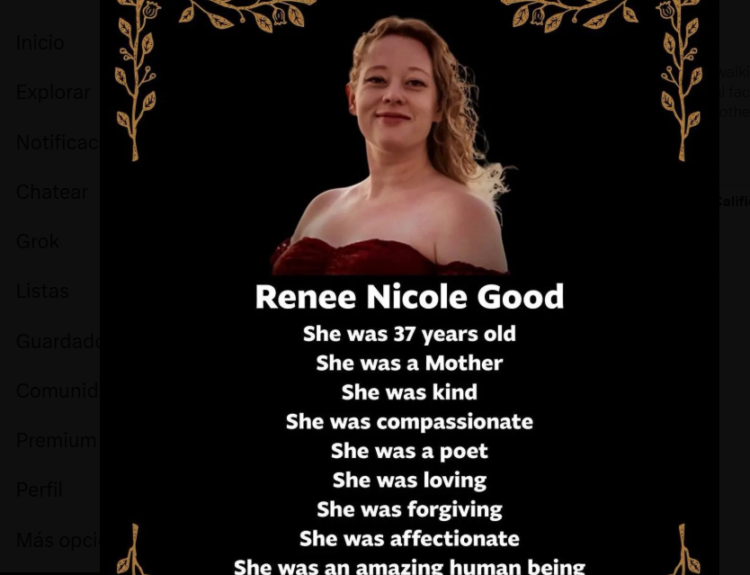Crimen de Renee Nicole Good por un agente del ICE Ruta Noticias