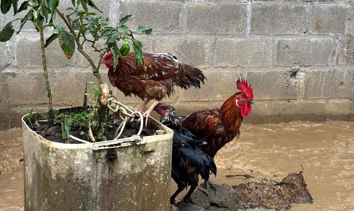 Inundaciones en Córdoba Ruta Noticias