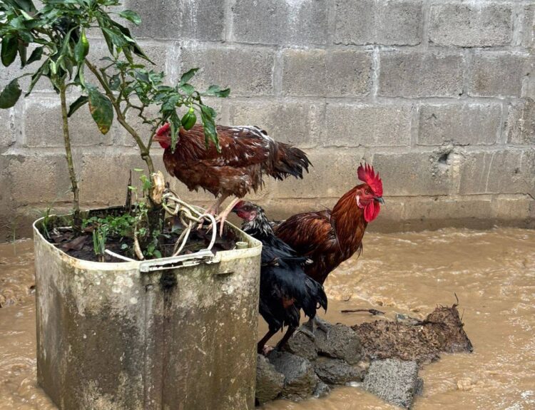 Inundaciones en Córdoba Ruta Noticias
