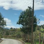 iluminación solar en Abejorral Ruta Noticias