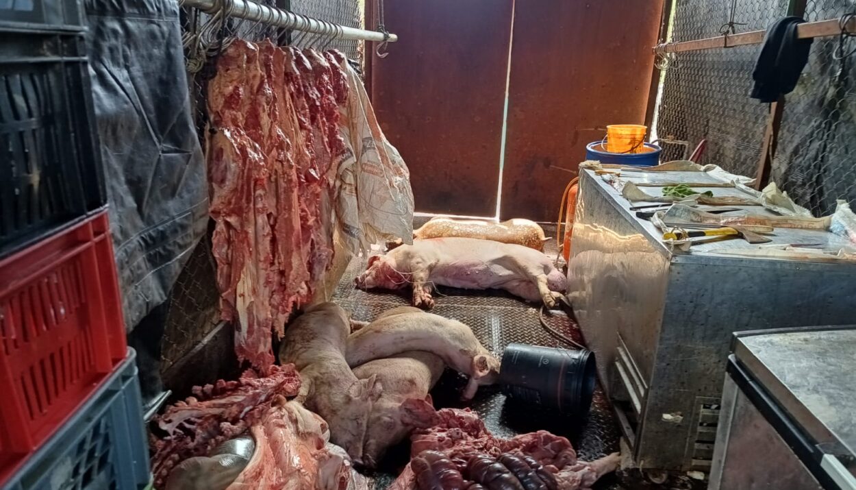 1.800 kilos de carne en mal estado Ruta Noticias