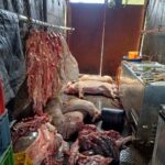 1.800 kilos de carne en mal estado Ruta Noticias