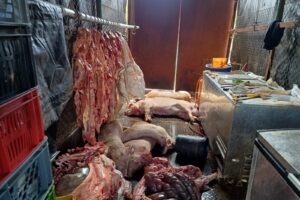 1.800 kilos de carne en mal estado Ruta Noticias