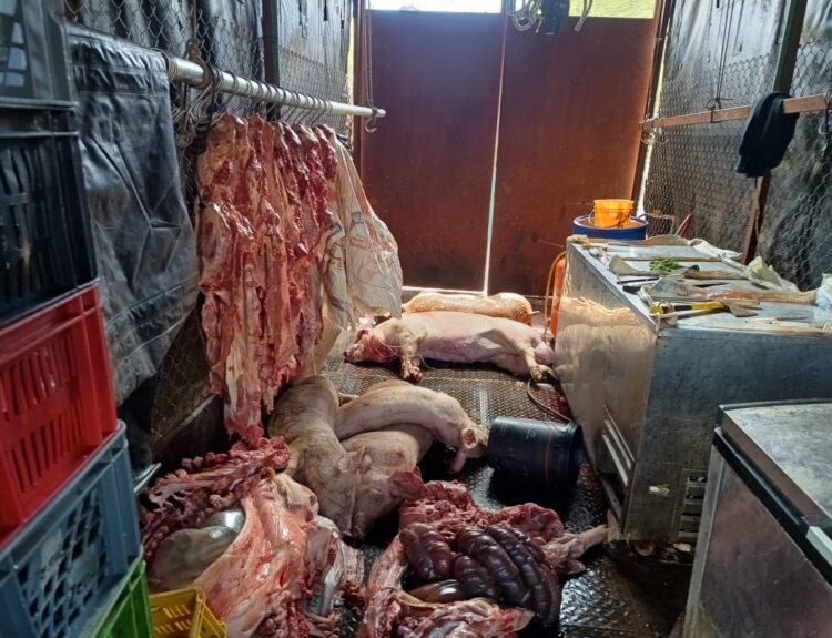1.800 kilos de carne en mal estado Ruta Noticias