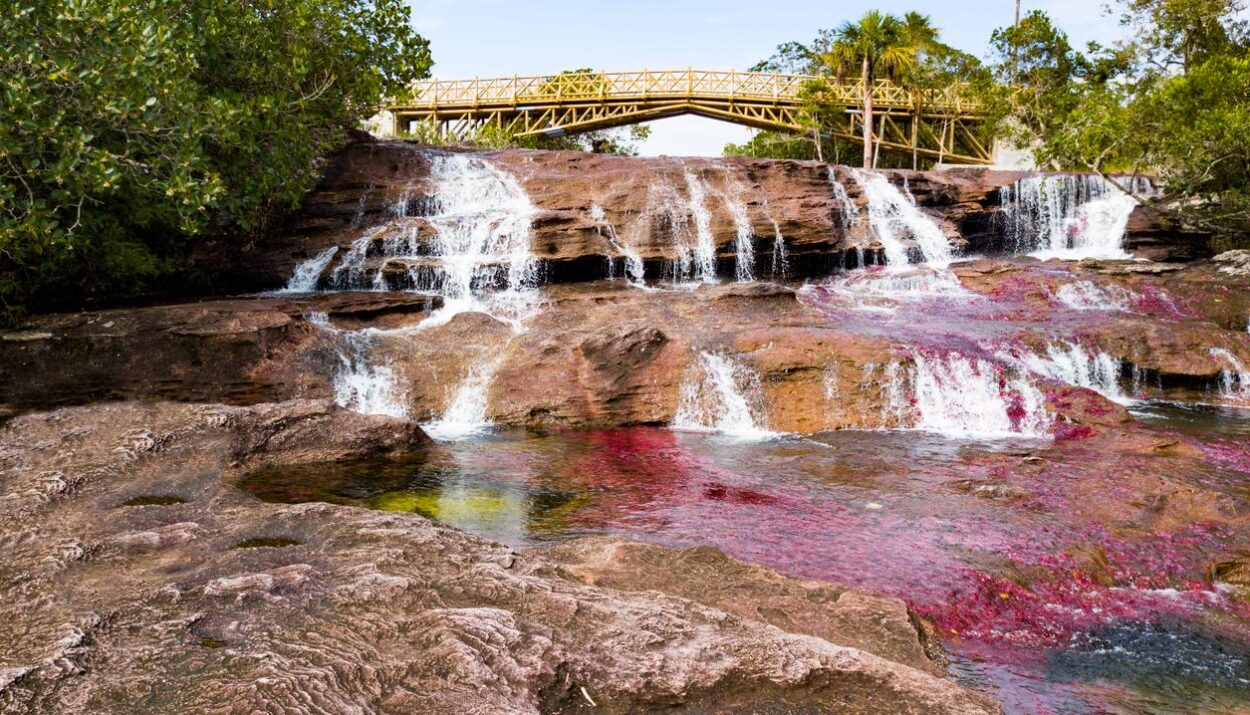 la temporada turística de Caño Cristales Satena Ruta Noticias